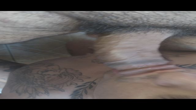Os machos quando gostam de uma cuxota, eles voltam s...