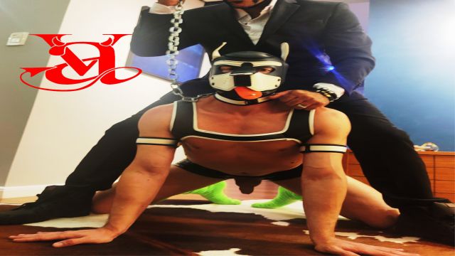Vídeo 323 - Cadela