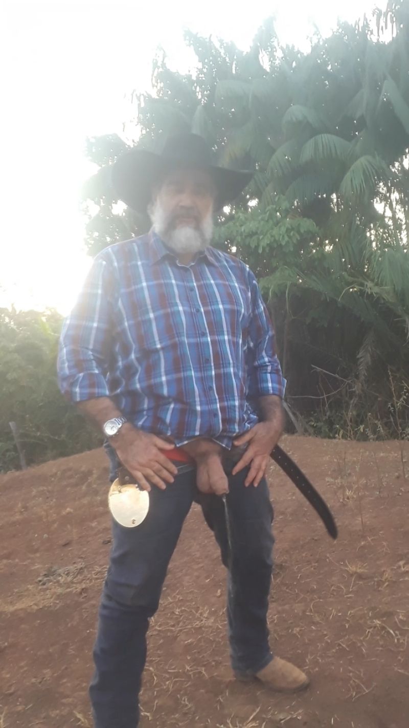 COWBOY CAVALAO NO CAMPO