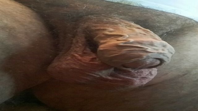 DEPOIS DE BATER UMA PUNHETA MATINAL E GOZAR LOGO EM ...