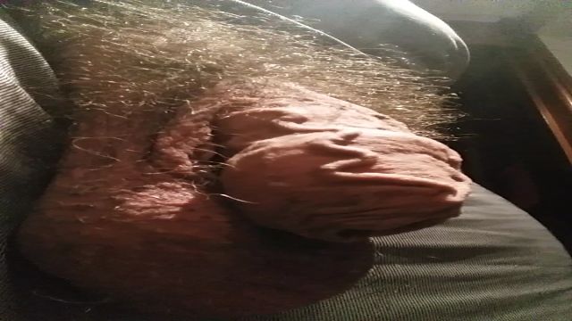 SURRA DE PICA DO CAVALAO