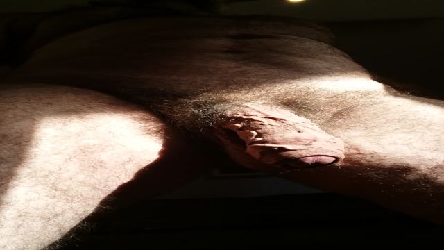 COWBOY CAVALAO PÕE POTRANQUINHA PRA CAIR DE BOCA NA ...