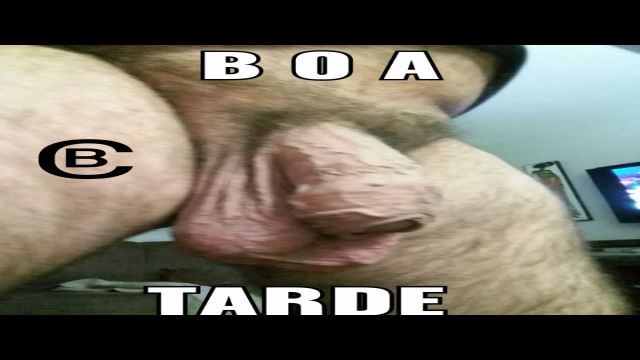 COWBOY CAVALAO MIJANDO NO CAMPO