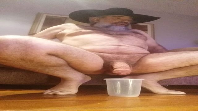 MIJAO MATINAL  DO CAVALAO 