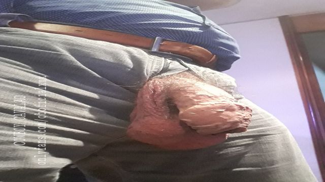 FLOODING THE FILLY'S CUCET WITH HER FUCKING STAL...