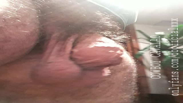 CHEGANDO A PICA NA POTRANCA 