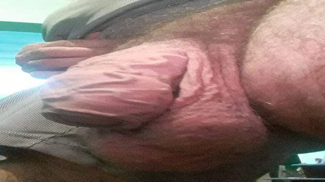 GARANHAO MONTADO ENGATADO NO RABAO DA POTRANCA 