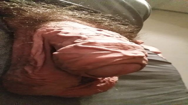 COWBOY CAVALAO ACORDANDO E DANDO AQUELE MIJAO MATINAL