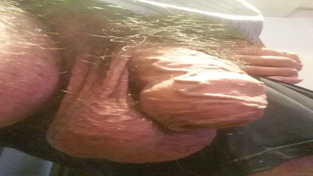 COWBOY CAVALAO PUTAO SAFADO VEJAM