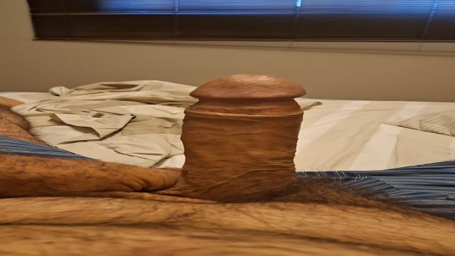 COWBOY CAVALAO FODENDO NO CHALÉ 