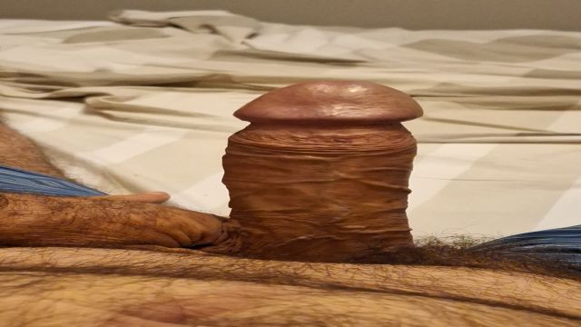 COWBOY CAVALAO FODENDO NO CHALÉ ll