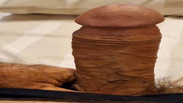 ACORDANDO  COM PICAO ESFOLA DA MINHA PUNHETA 