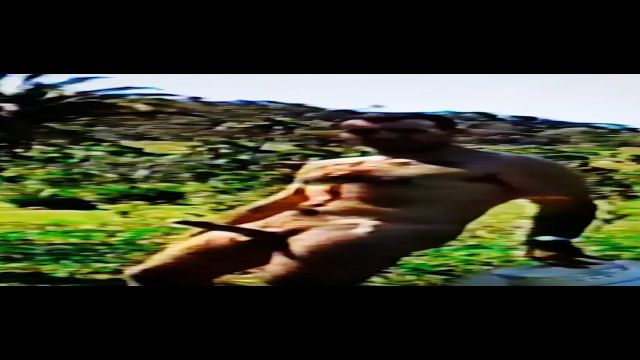 COWBOY  POTRAO JOVEM NO CAMPO