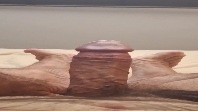 COWBOY CAVALAO DE RESSACA MAS DE PICAO DURAO 