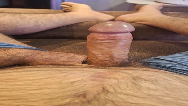 COWBOY CAVALAO ACORDOU ASSIM TODO SUADAO EXALANDO ME...