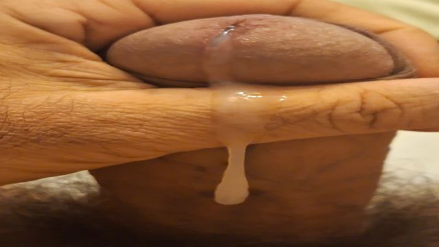 VEM TOMAR CAFÉ COM LEITE CREMOSO DO COWBOY CAVALAO V...