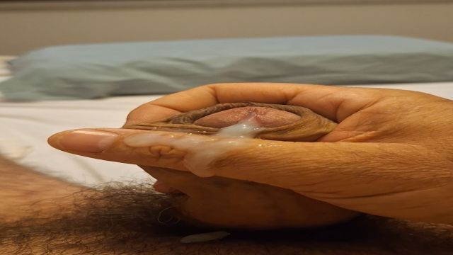 LIBERANDO LEITE MATINAL