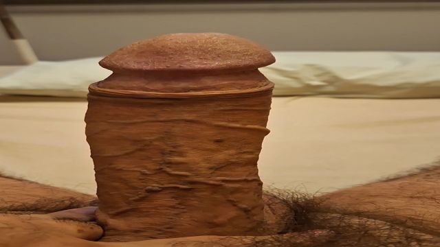 ANIMADÃO PRONTO PRA MAIS UMA SEMANA 