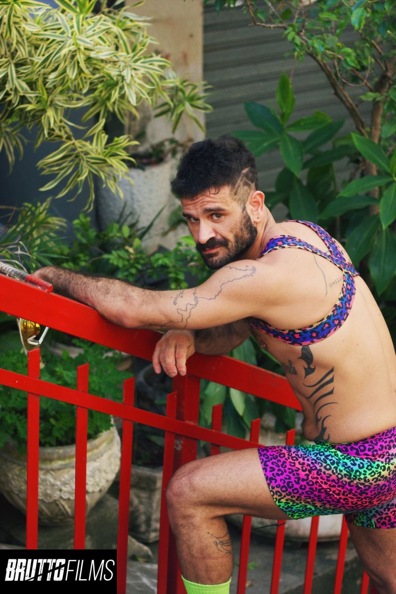 Carnaval no Porto do Rio