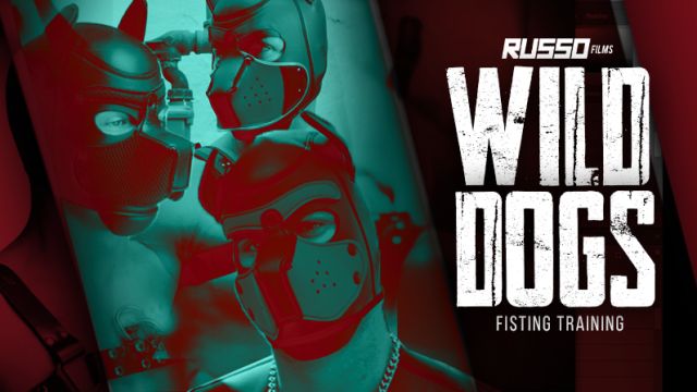 WILD DOGS