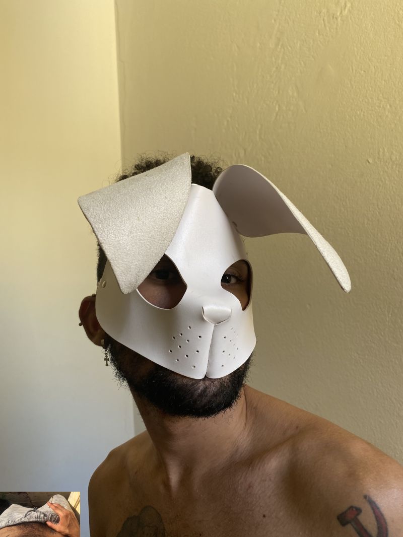 Petplay
