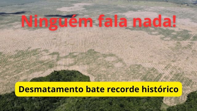 Desmatamento bate recorde histórico, Marina emudece ...