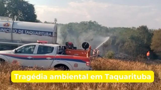 Incêndio devasta 15 alqueires de lavoura de trigo e ...