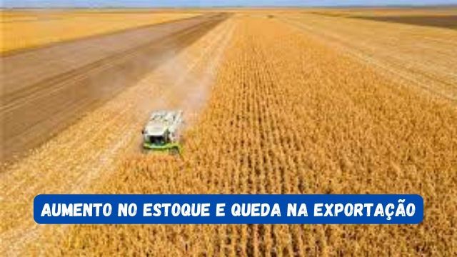 Exportações de soja devem totalizar 99 milhões de to...