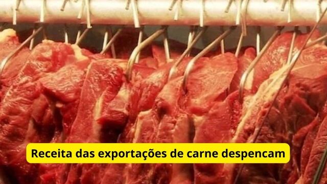 Receita das exportações de carne bovina cai 24% em s...