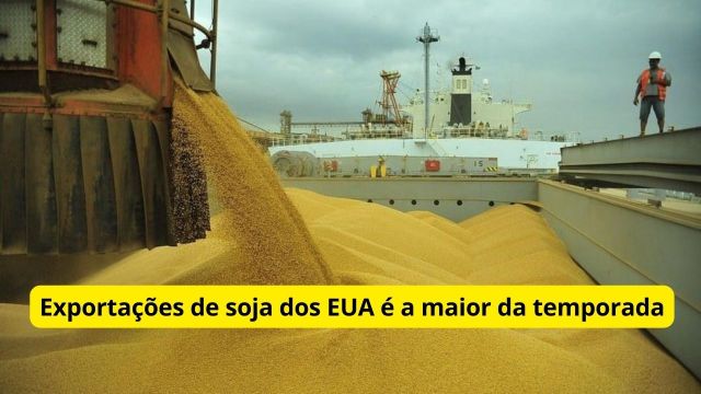 Soja: exportações líquidas semanais dos EUA atingem ...