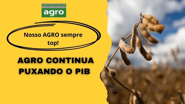 Agro continua puxando PIB para cima, ressalta IBGE