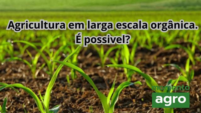 Agricultura orgânica em larga escala. É possivel?