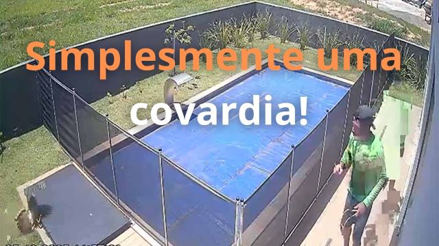 Homem ataca e mata Seriema com estilingue e revolta ...