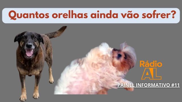 Maldade com os animais continuam. Até quando? Painel...