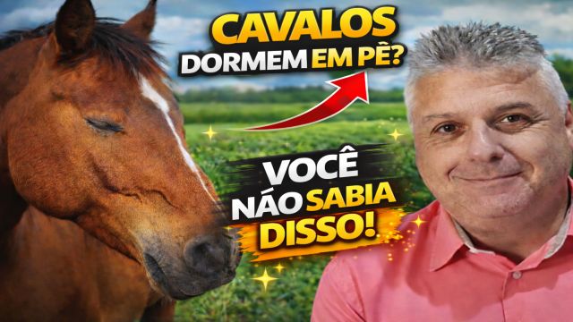 O MOTIVO DOS CAVALOS DORMIREM EM PÉ VAI TE SURPREEND...