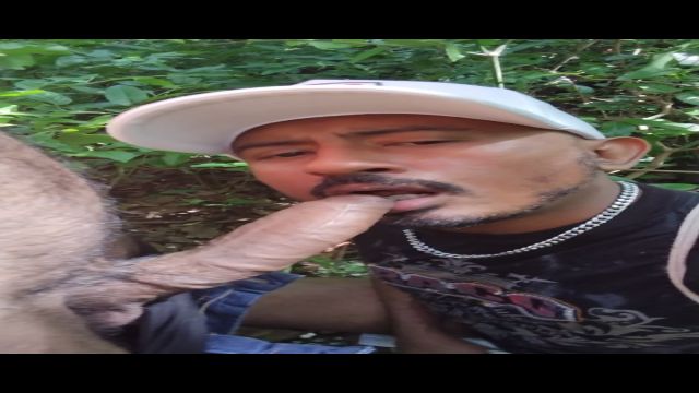 De volta a trilha