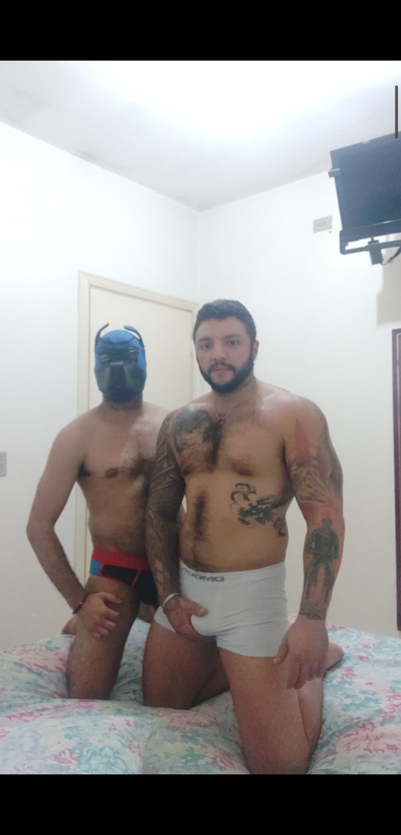 @WILLCONTRATESI & @WILLCONTRATESIX & @PheVenturelli