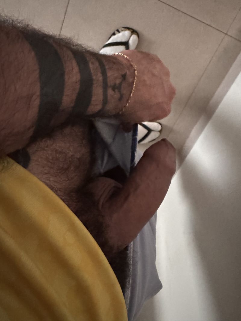 O tubarao martelo da minha coxa quer bjo de nom dia!