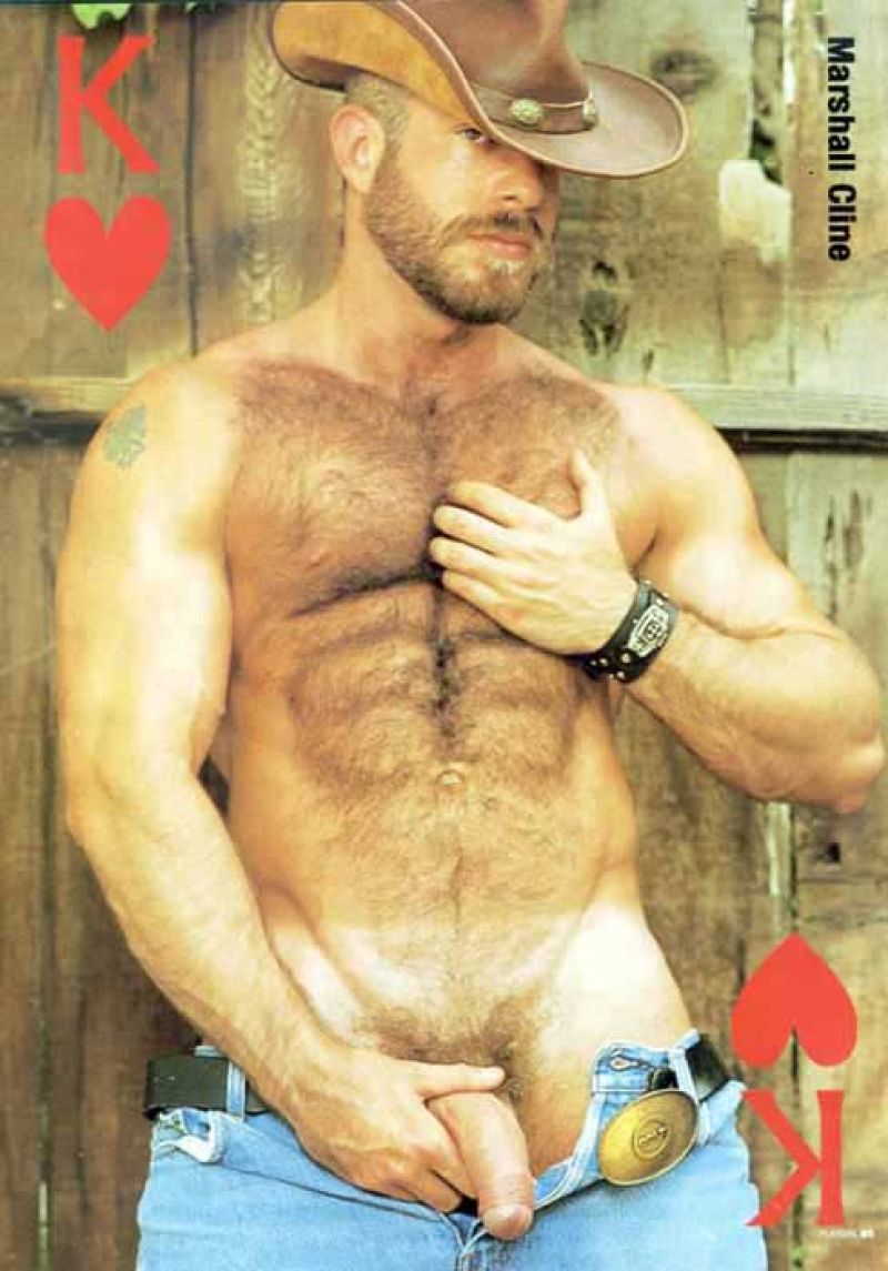 Cowboy #2