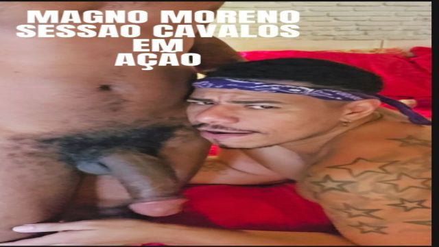 MAGNO MORENO  X SESSAO CAVALOS EM ACAO