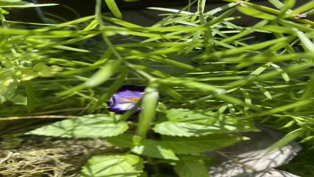 Eu comendo o safadao demadrugada 