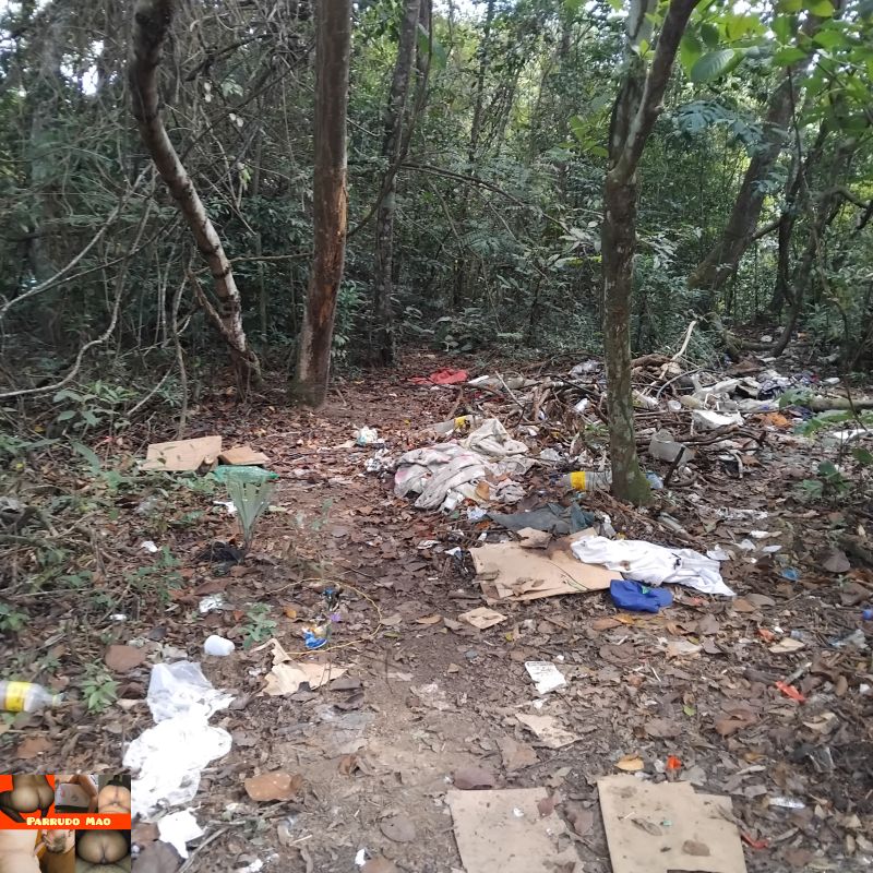 Putaria na Mata do Dom Pedro