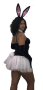 Coelhinha da Playboy ??