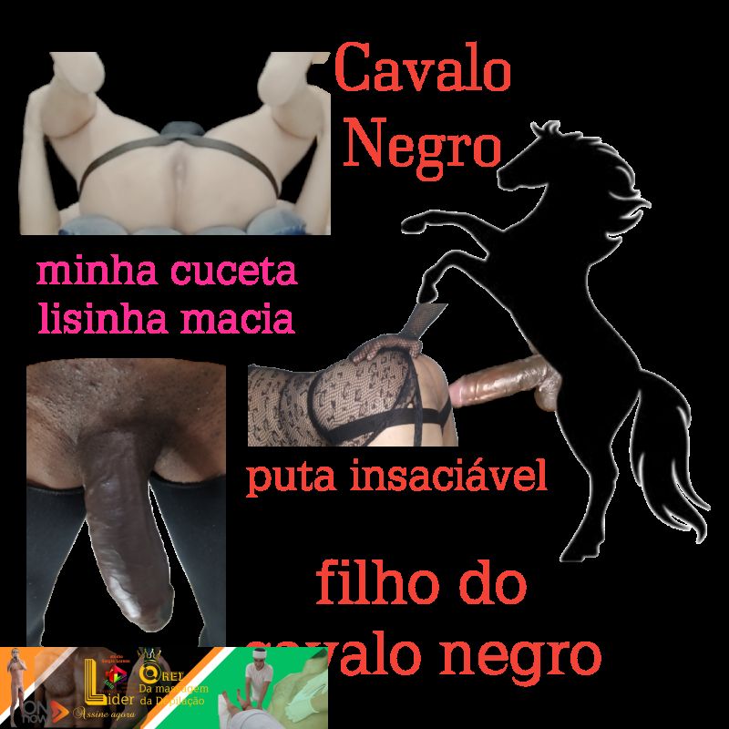 filho do cavalo negro