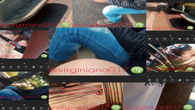 O dia todo caçando...