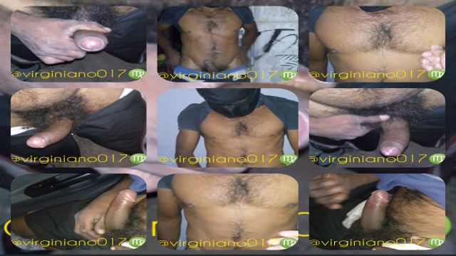 Bruto rústico e sistemático 