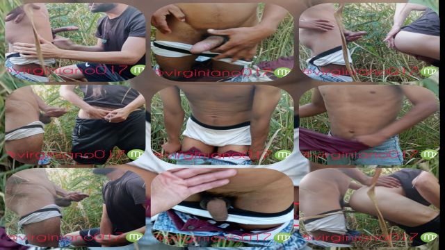 O novinho Catador de reciclagem 