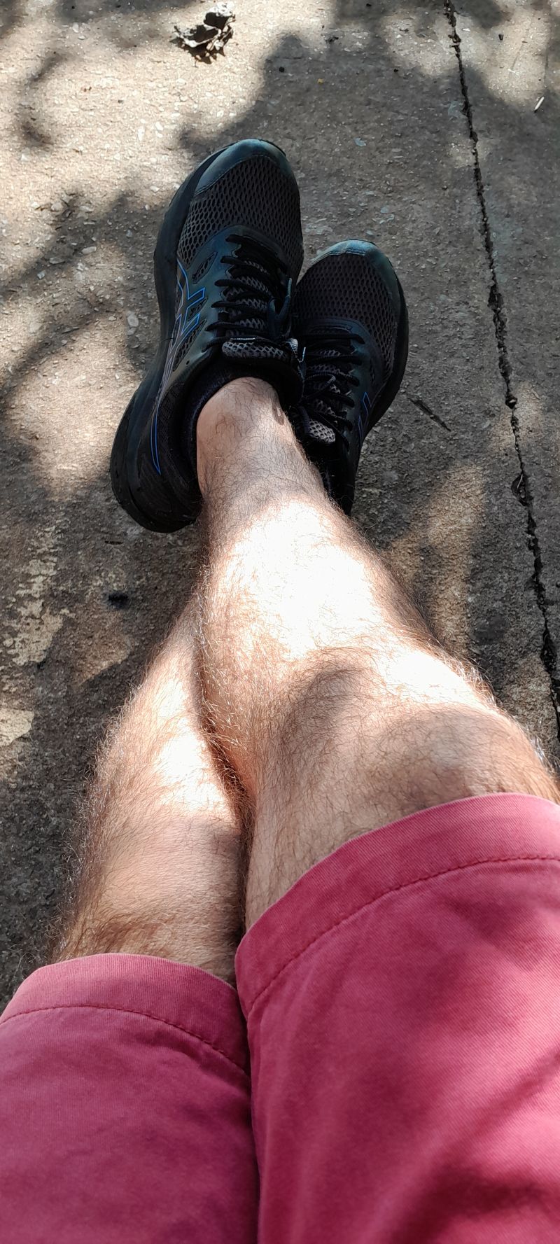 pelos das pernas e pentelhada do pau