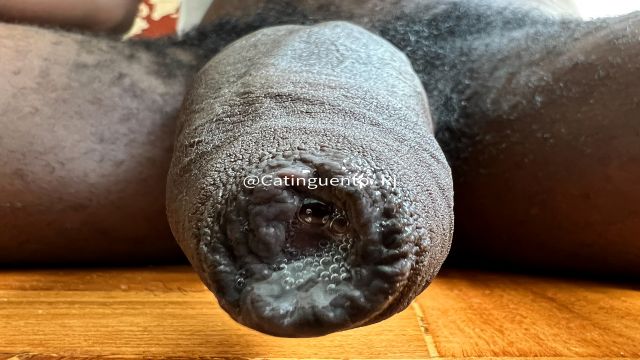 Tocando uma e falando bobagem